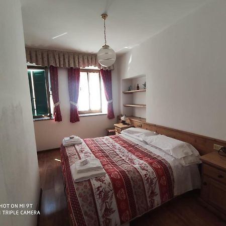 La Favorita Bed and Breakfast Lozzo Cadore Eksteriør billede