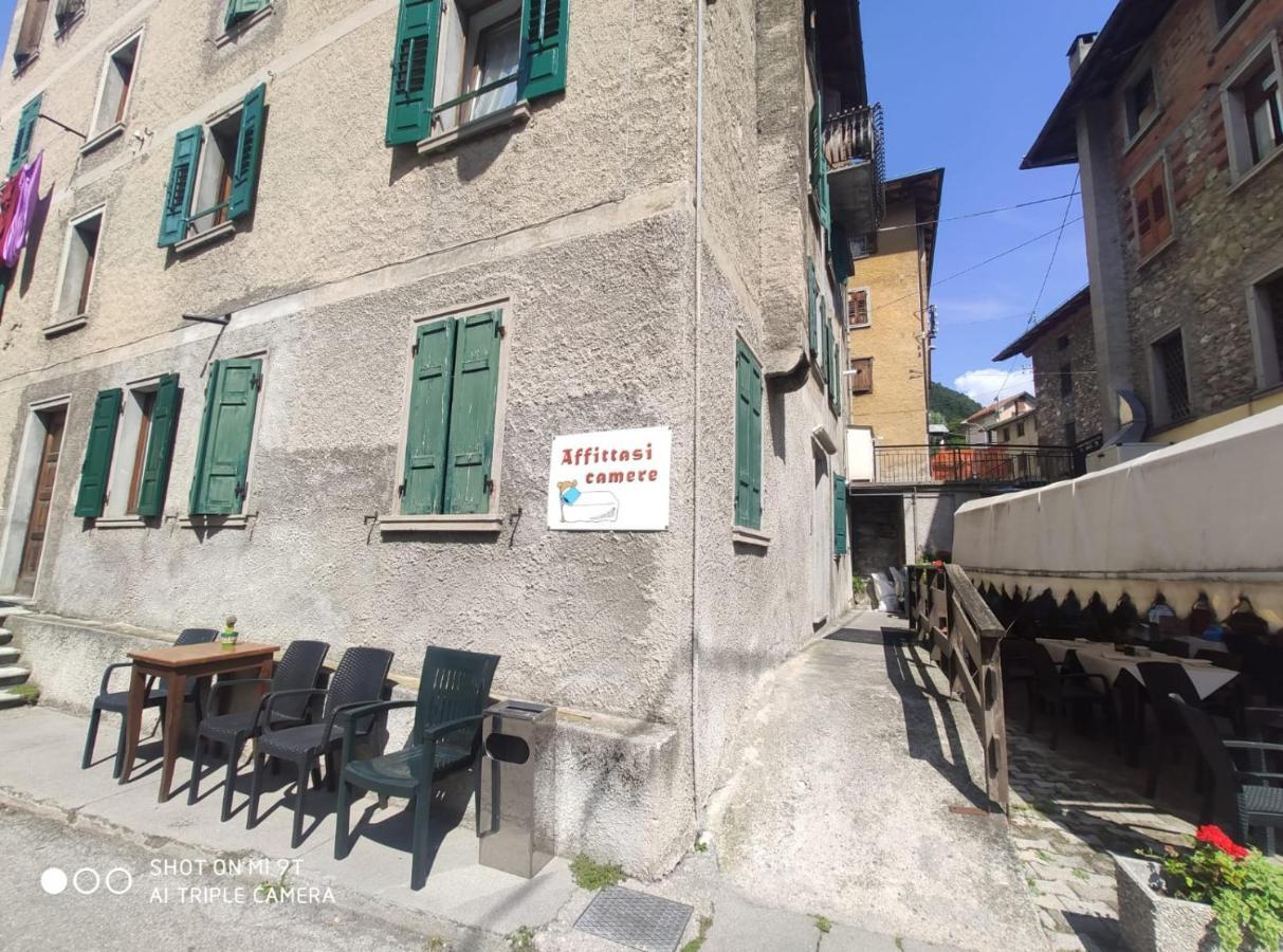 La Favorita Bed and Breakfast Lozzo Cadore Eksteriør billede