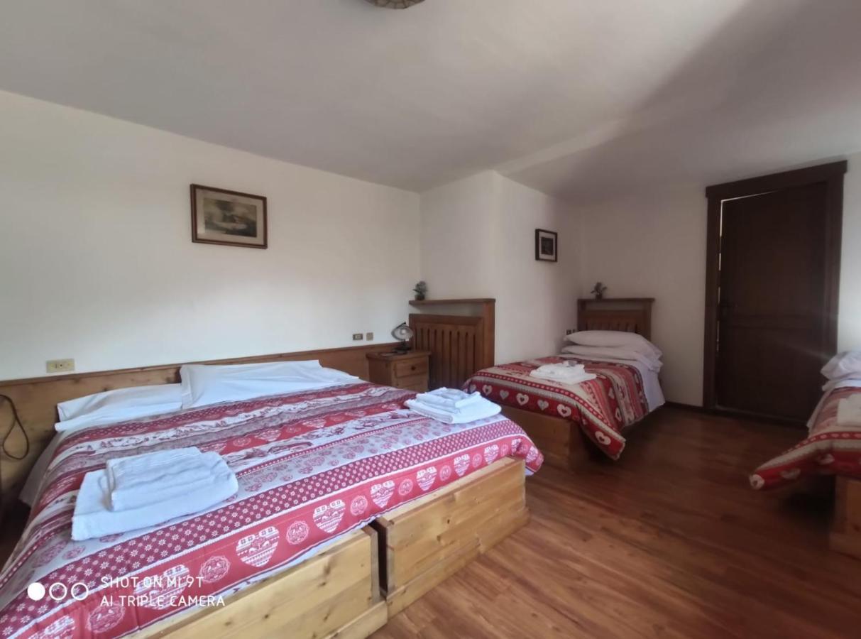 La Favorita Bed and Breakfast Lozzo Cadore Eksteriør billede