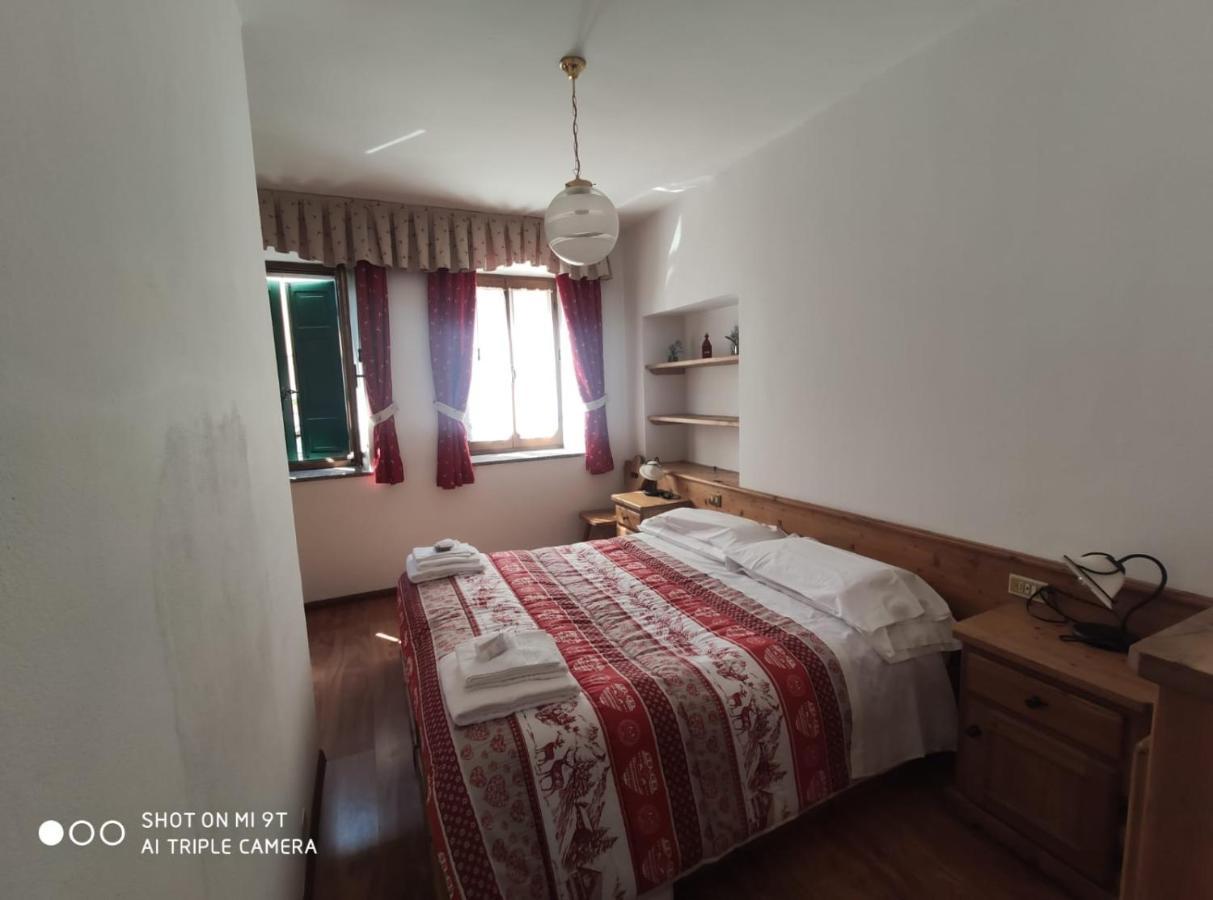 La Favorita Bed and Breakfast Lozzo Cadore Eksteriør billede