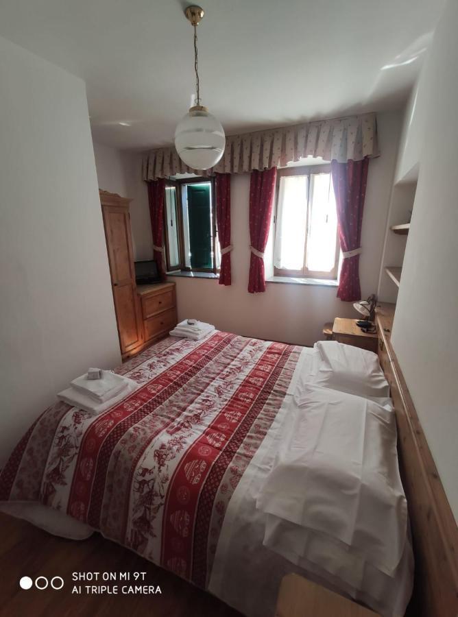 La Favorita Bed and Breakfast Lozzo Cadore Eksteriør billede